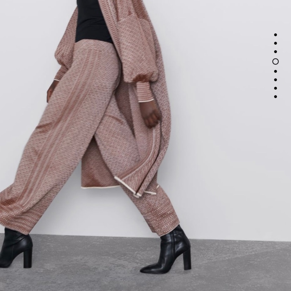 Zara pants